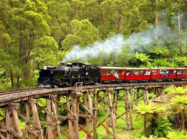 Journey Through the Yarra Valley's Beauty on a Classic Steam Train