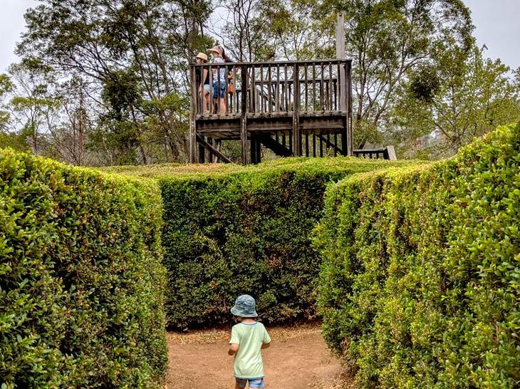 Have a Blast with Your Family at Hedgend Maze: Fun Times for All Ages