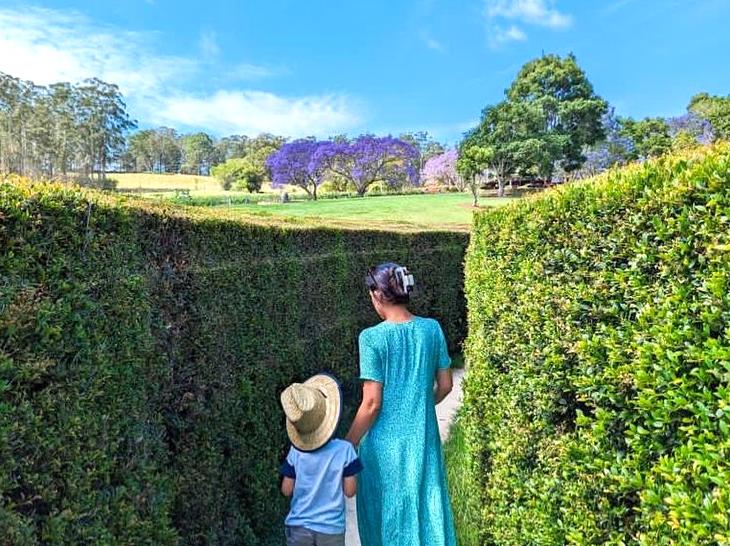 Explore a Memorable Family Day at Hedgend Maze: Engaging Fun for All