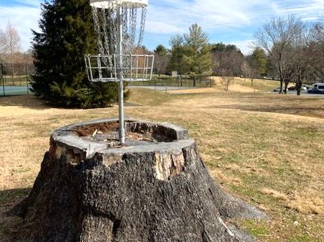 Play a Game of Disc Golf in Your Neighborhood Park